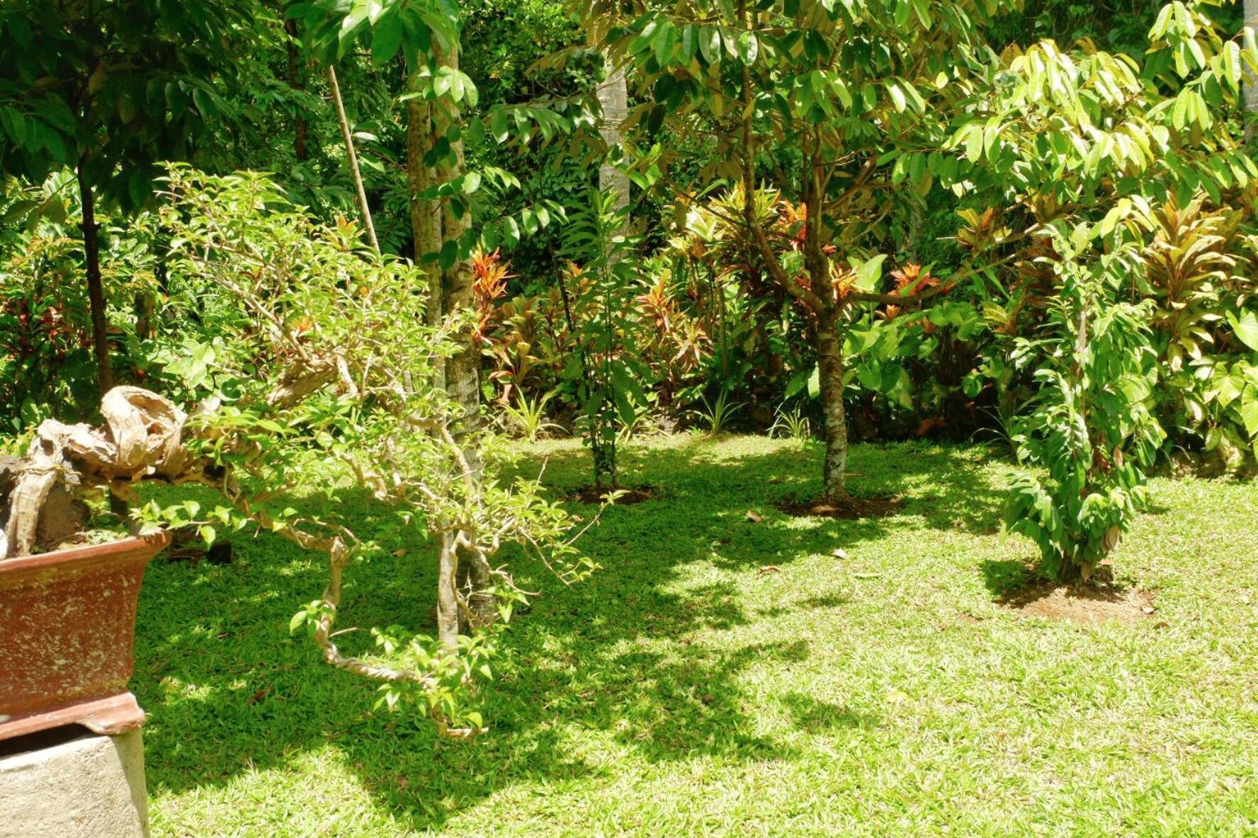 Artja Inn Ubud Eksteriør bilde